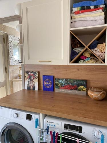 a laundry room with a washer and dryer at Les Carillons du Bois de l'Orme in Les Pechs-du-Vers