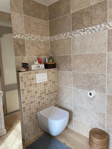 a bathroom with a toilet and a tiled wall at Les Carillons du Bois de l'Orme in Les Pechs-du-Vers