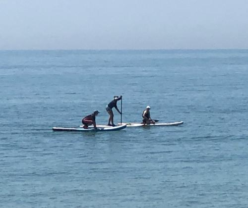 a group of three people on surfboards in the ocean at Sea Spray Victorian Apartment in St. Leonards