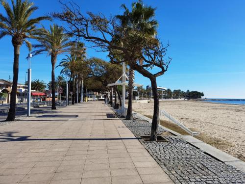 a sidewalk with palm trees on the beach at FLORA Apartment in Cambrils