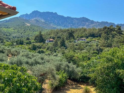 Gambar di galeri bagi Villa Ftery di Rakhónion