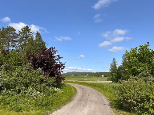 a dirt road in the middle of a field at Solberg Inn 