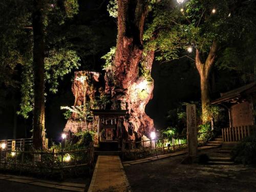 Un jardín fuera de 熱海温泉 法悦 旅館