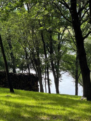 a field of grass with trees and a stone wall at Sanovia Glamping in Reczpol