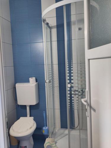 Fotografie z fotogalerie ubytování Casa Maria Alexandra v destinaci Berceşti