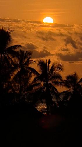 a group of palm trees in front of a sunset at Zanzibar Lodge in Kiwengwa