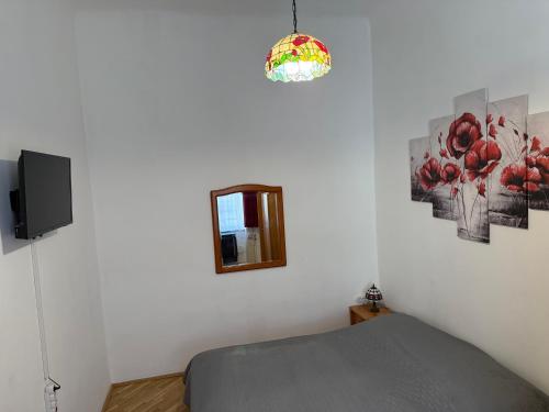 a bedroom with a bed and a mirror and a tv at Little Hungary Apartment in Budapest
