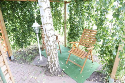 a wooden bench sitting next to a tree at Ferienbungalow Klützer Winkel - ABC165 in Klütz