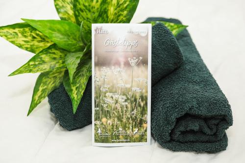 Fotografie z fotogalerie ubytování Apartment Hohe Tannen mit Schwimmbad & Sauna v destinaci Hohegeiß