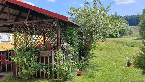 a garden with a building with a bunch of flowers at Agroturystyka STANICA in Nowy Gierałtów
