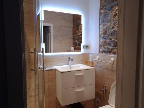 a bathroom with a sink and a mirror at Hostal San Juan Oyarbide Tolosa in Tolosa