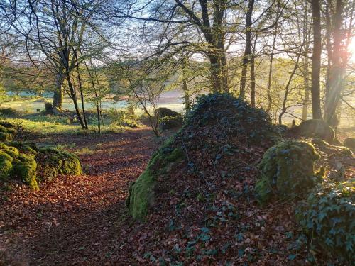 a path in the woods with rocks and trees at Countryside Caravan in Saint-Michel-de-Montjoie