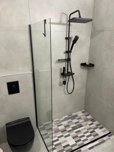 eine Dusche in einem Badezimmer mit Glastür in der Unterkunft Deos Thassos in Panagia