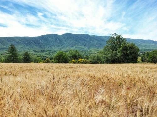 Φυσικό τοπίο κοντά σε αυτή η παραθεριστική κατοικία