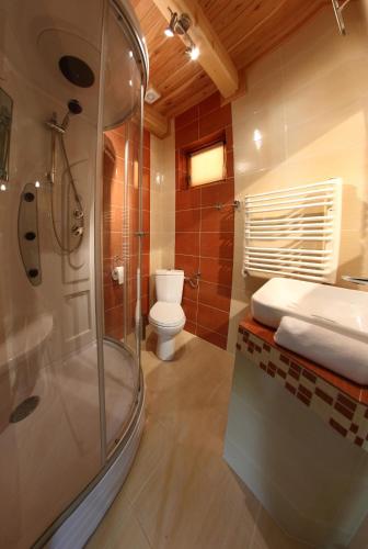 a bathroom with a shower and a toilet at Domek pod Howyzem in Łapsze Niżne
