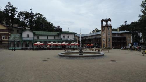 イボニチ・ズドルイにあるApartament Greyの噴水時計塔のある町広場