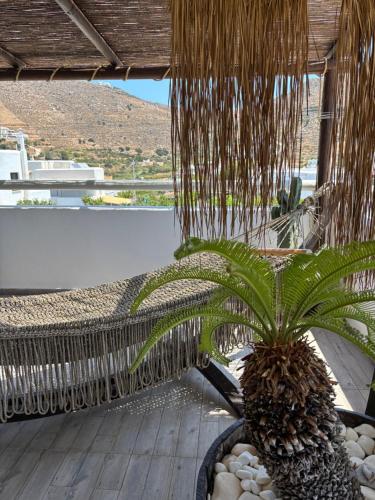 a palm tree sitting on top of a porch at Black Velvet in Agkidia