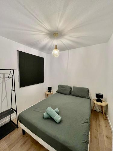 - une chambre avec un lit vert et une télévision murale dans l'établissement Appartement centre ville et Parking, à Toulouse