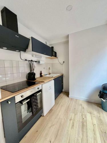 une cuisine avec un évier et une cuisinière four supérieur dans l'établissement Appartement centre ville et Parking, à Toulouse