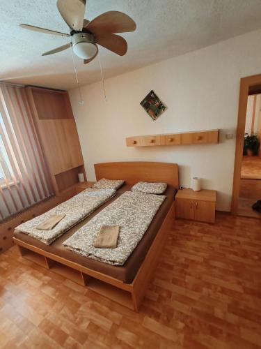 VáclavovにあるApartmán Irisのベッドと天井扇風機のある寝室