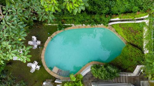 an overhead view of a swimming pool with trees at The Island Sanctuary Rock Pool Villa in Chorao