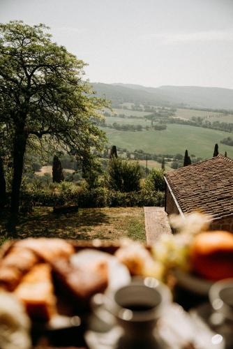 Naturlandskabet i nærheden af feriegården