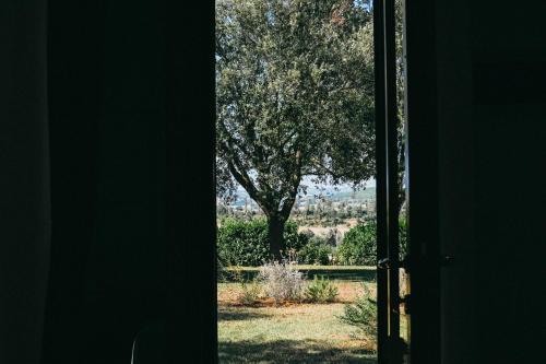 an open door with a view of a tree at Agriturismo Vallerana in Capalbio