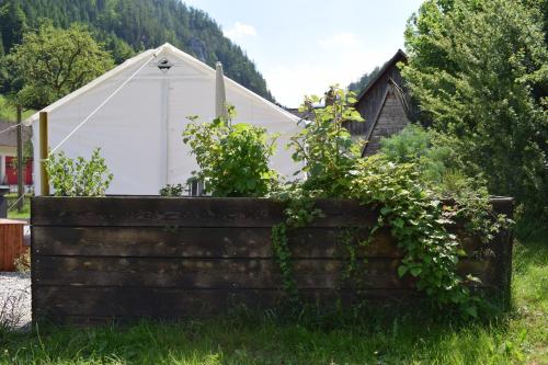 Příroda nedaleko luxury tent