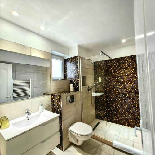 a bathroom with a toilet and a shower and a sink at Villa Santa Maria in Sibiu