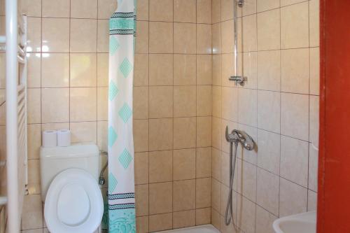 a bathroom with a toilet and a shower at Pensiunea Patakparti in Praid