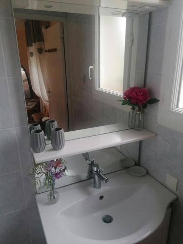 La salle de bains est pourvue d'un lavabo, d'un miroir et de fleurs. dans l'établissement Le Clos des roses, à Civray-de-Touraine