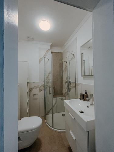 a bathroom with a shower and a toilet and a sink at Stylish apartment mit Bachblick in Vallendar
