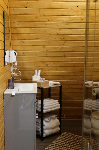 a bathroom with a sink and a counter with towels at PRIVATE PLACE Avrig adults only in Avrig