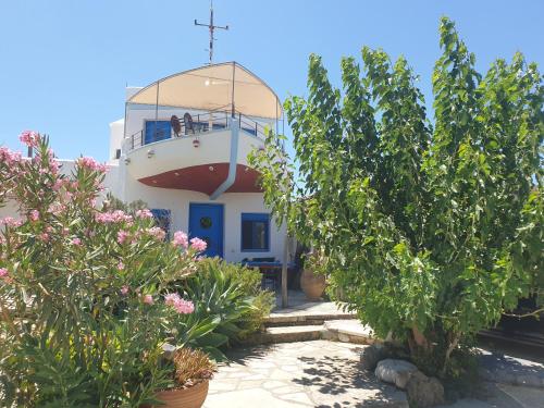 Zahrada ubytování Villa Warka