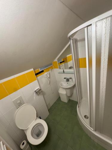 a small bathroom with a toilet and a shower at bouda Pod Sněžkou in Pec pod Sněžkou