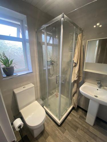 a bathroom with a shower and a toilet and a sink at The Shaw House, 3 in Knutsford
