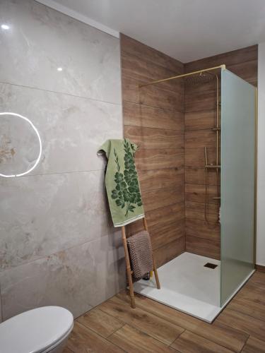 e bagno con doccia, servizi igienici e asciugamano. di Camargue - escapade romantique - jacuzzi privatif a Saint-Gilles