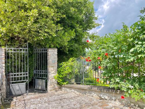 Zahrada ubytování Residenza della vigna