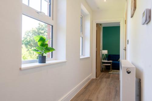a hallway with a window and a potted plant at Flat 9- 1BR in Newport