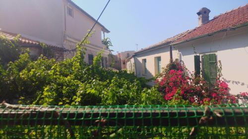 a group of buildings with bushes and flowers at Ranias Apartment in Lákka