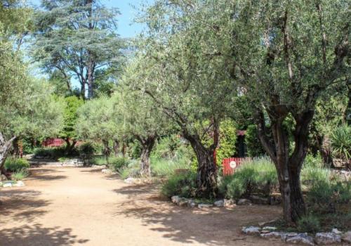 un chemin de terre avec des arbres dans un parc dans l'établissement Magnifique appartement vue mer, à Vence