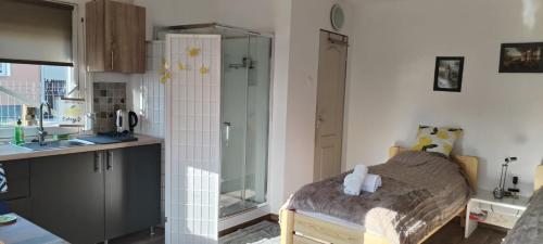 a small kitchen with a bed in a room at Lemon & Lime Apartmanok in Mikepércs