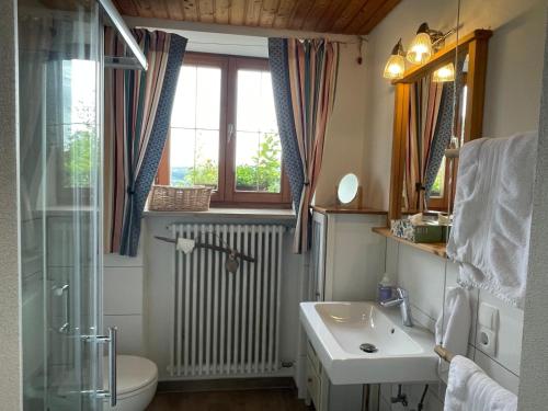 a bathroom with a sink and a toilet and a window at Landhaus - In der hohen Eich Eg in Überlingen