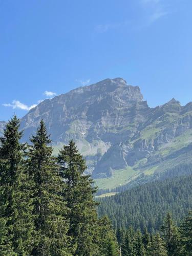 a group of trees with a mountain in the background at Le Genin - studio spacieux dans le centre de Gryon in Gryon