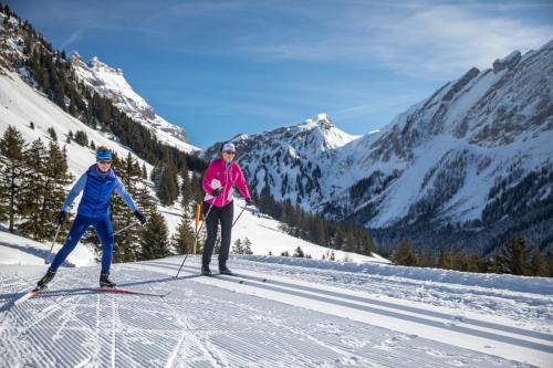 two people on skis in the snow on a mountain at Le Genin - studio spacieux dans le centre de Gryon in Gryon