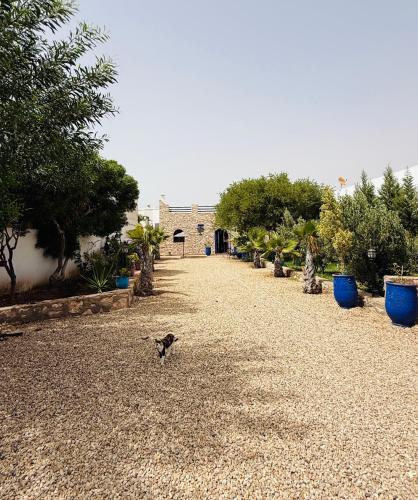 Κήπος έξω από το Villa Fatima