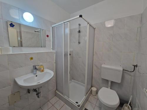 a bathroom with a shower and a toilet and a sink at Hostel Rožna dolina, Dom XIV in Ljubljana