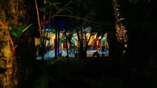a city street at night with trees and lights at The Nature Resort in Dambulla