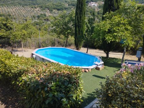 a swimming pool in the yard of a house at Cascinetto in Longano