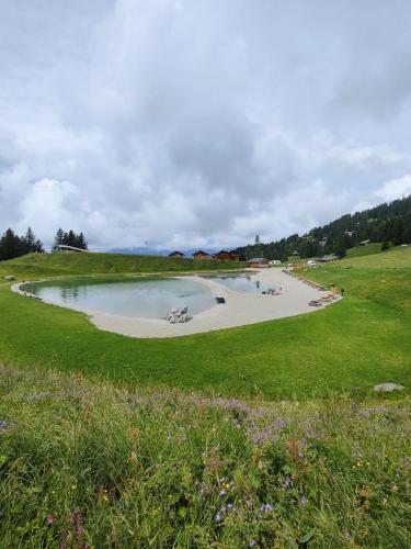 アパートメントの近くで見られる自然の景観